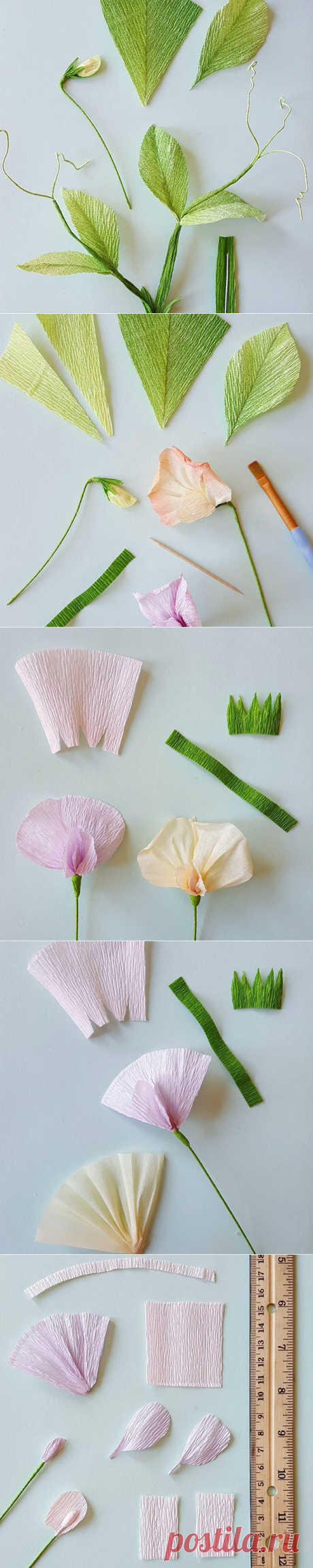 Lynn Dolan (@a.casual.florilegium) • Фото и видео в Instagram