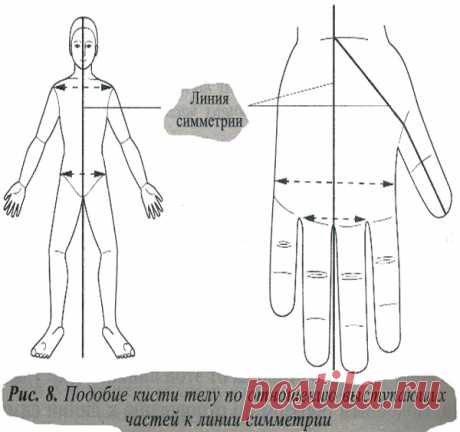 😉: Этот и другие признаки подобия указывают на то, что большой палец соотносится с головой, третий и четвертый пальцы — с ногами, а второй и пятый - с руками (рис. 8).