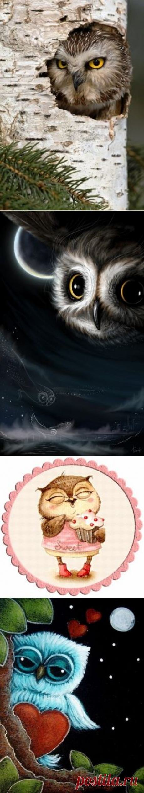 СОВУШКИ / Декупаж / Картинки для декупажа