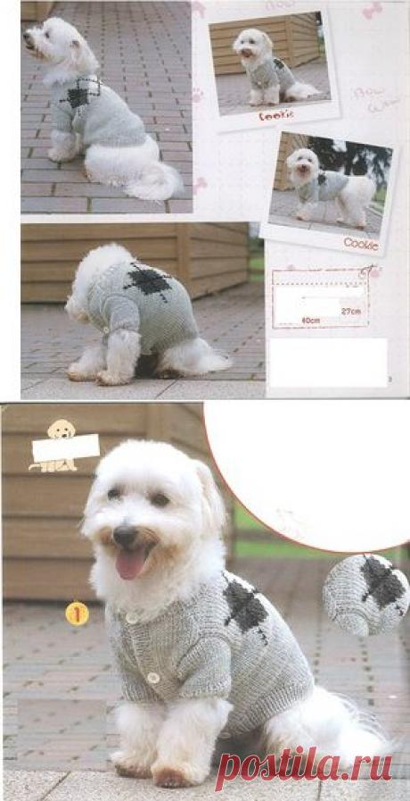 Мода для пушистиков ... из Японии