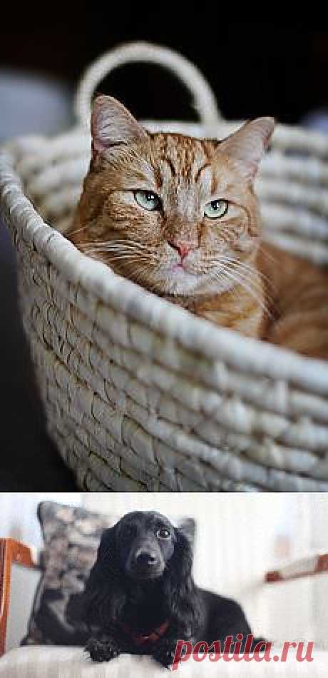 Болезнь свинка: можно ли ее окончательно победить? и другие материалы. Новое в Вашей подборке на Постила.ru - galina.manzhura@mail.ru - Почта Mail.Ru