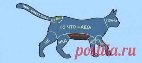 5 полезных советов