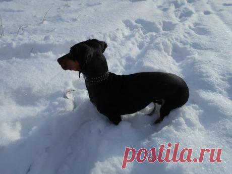 1 тур Батл на тему: "Зимние забавы". Голосуйте за того,кто вам понравился больше! В следующий тур пройдут лишь 2 ФОТО