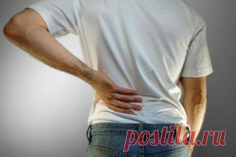 Какие привычки вредят почками | Делимся советами