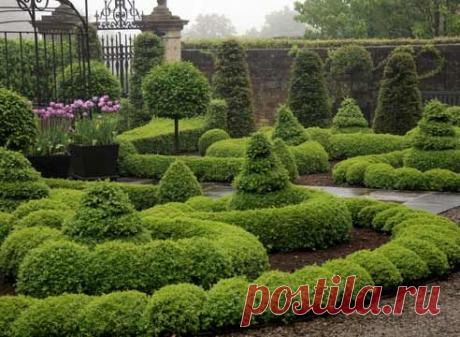 Оформление клумб, клумбы и цветники на даче, цветочные клумбы своими руками