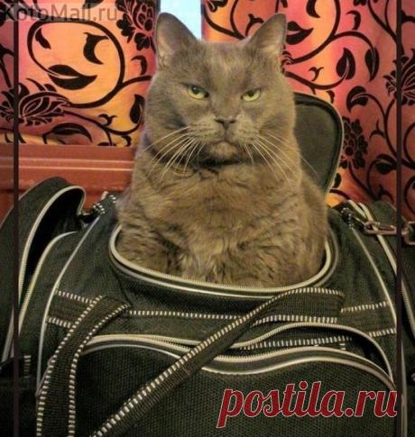 Я еду с тобой!