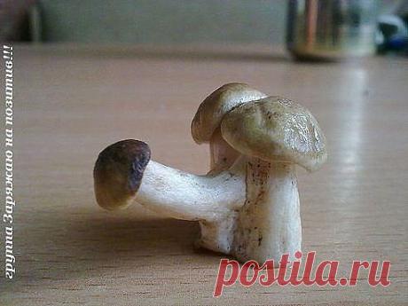 Светлана Артюхова
45 лет, Россия, Россия