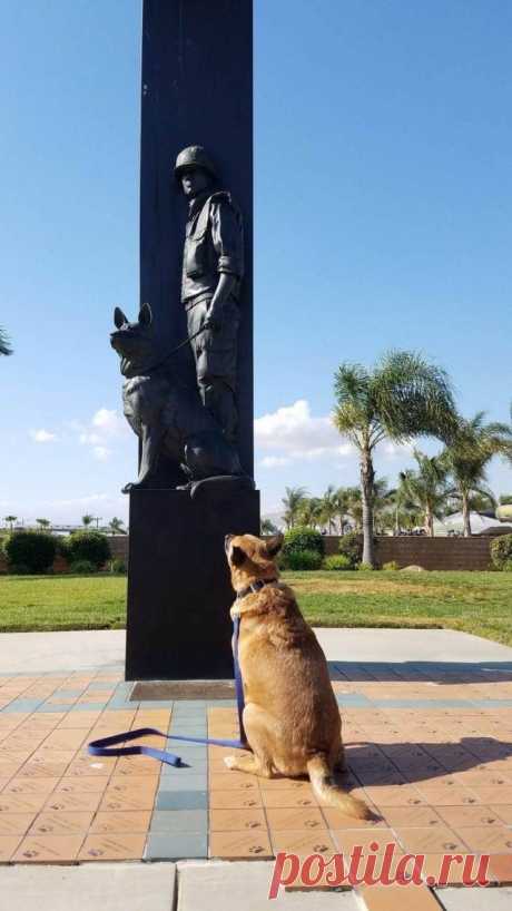 Позитивные картинки для всех! / Приколы