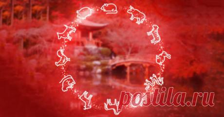 Астрологический прогноз Бацзы на 2019 год. Если ваш год рождения заканчивается на 1, ждите повозку из золота, на 6 и 7 — готовьтесь к свадьбе