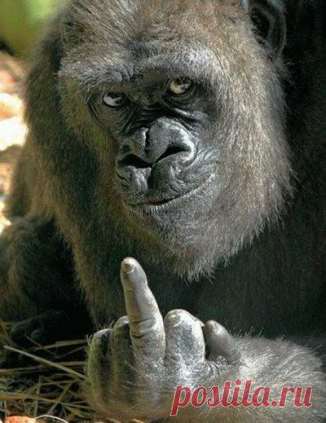 Мой ответ всем недоброжелателям!