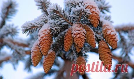 Тараторка — «009.JPG» на Яндекс.Фотках