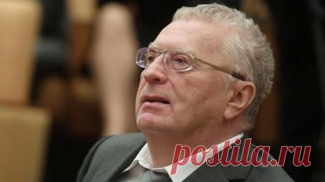 Сквер в Чебоксарах назовут в честь Жириновского