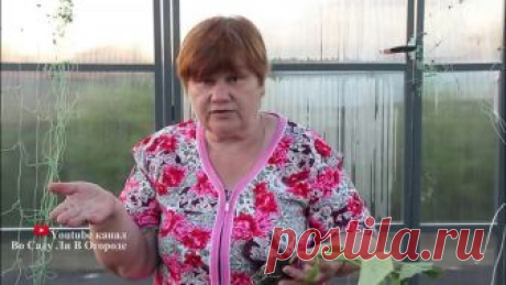 Сделайте Так При Посадке Огурцов! Небывалый Урожай Без Танцев С Бубном