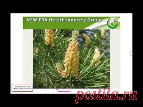 Индустрия Здоровья