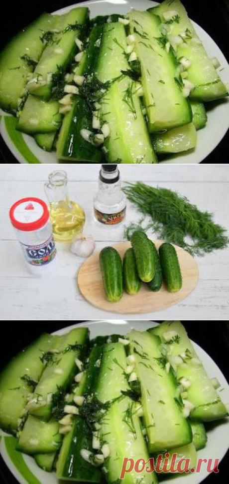 Лучшие кулинарные рецепты: Закусочные огурцы