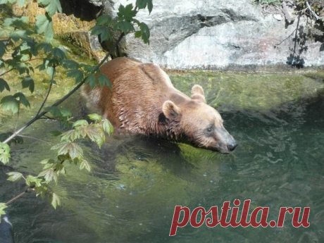 Инсбрук - Путешествуем вместе