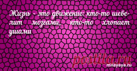 Красивый статус со смыслом в картинках из жизни для женщин (картинка 256) . Милая Я