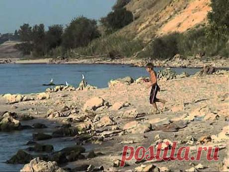 Морские звёзды - YouTube