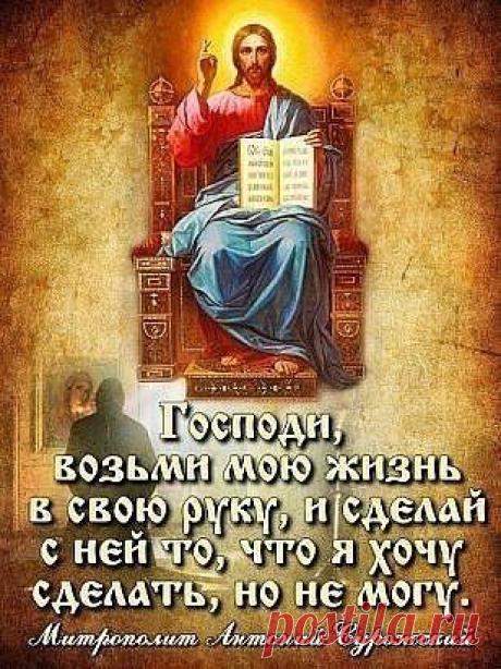 (2) Одноклассники