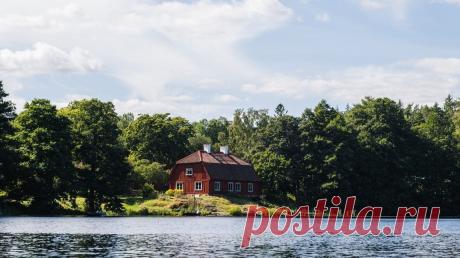 Навязала дачникам платежи – в колонию! Решение по конкретному делу принципиально важно, т. к. и дает надежду практически всем, удалившемся на время или насовсем из города ...