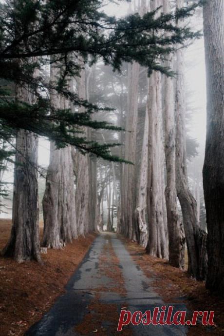 Мечта интроверта