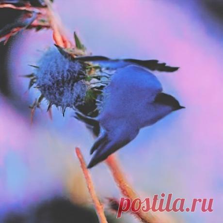 Keith Holland – Idealismo