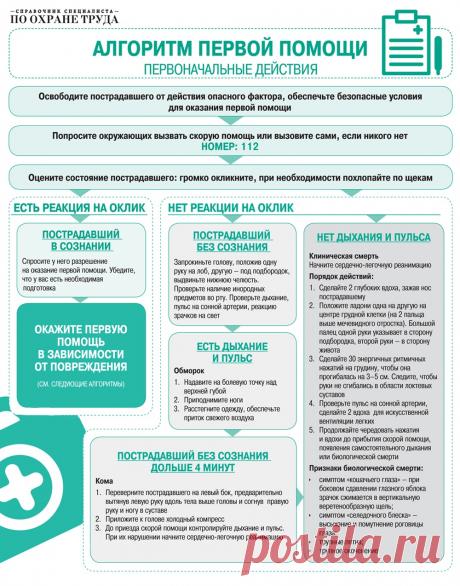 Обучение первой помощи под ключ: пошаговая инструкция, полный видеокурс и готовые алгоритмы – Справочник специалиста по охране труда № 4, апрель 2018