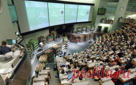 Цветочные аукционы в Голландии