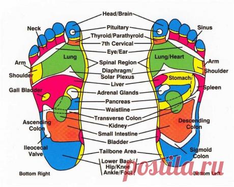 КАК ЛУК В НОСКАХ МОЖЕТ ИЗМЕНИТЬ ВАШУ ЖИЗНЬ