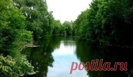 Река Арчеда в районе ул.Парковая