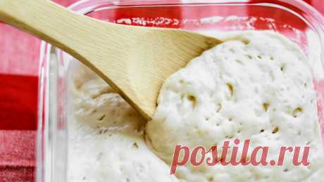 Опара для дрожжевого теста: 14 рецептов опары и теста | ТестоВед