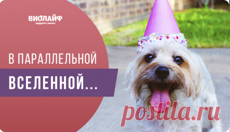 В параллельной вселенной…
А там далеко, в параллельной вселенной, Котята топили людей… Им было не жалко...
Читай дальше на сайте. Жми подробнее ➡ #параллельнаявселенная #вселенные #вселенскиеистории #котята #котенок #кот #кошка #жизнь #люди #людипожилые #взрослые #взрослый #старость #настроение #стихи #стихотворение #лирика #лирическиестихи #жизньпродолжается #стихидлядуши #творчество #япишу #япоэтесса #поэзия #рифма #пишустихи #стихиолюбви #пишупролюбовь #пролюбовь
Просматривайте этот и дру…