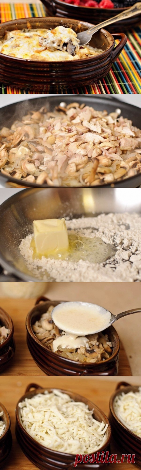 Отличный рецепт жульена с курицей и грибами