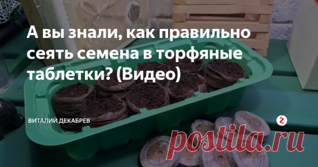 А вы знали, как правильно сеять семена в торфяные таблетки? (Видео) Как повысить всхожесть семян в посевных таблетках? В торфяные и кокосовые таблетки производить посевы очень просто и удобно, однако у многих садоводов и огородников семена не всходят. А все потому, что и при работе с таблетками есть свои нюансы. Какие? Узнаете из этого видео.