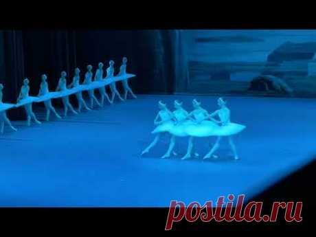 «Лебединое озеро», танец маленьких лебедей #большойтеатр #ballet