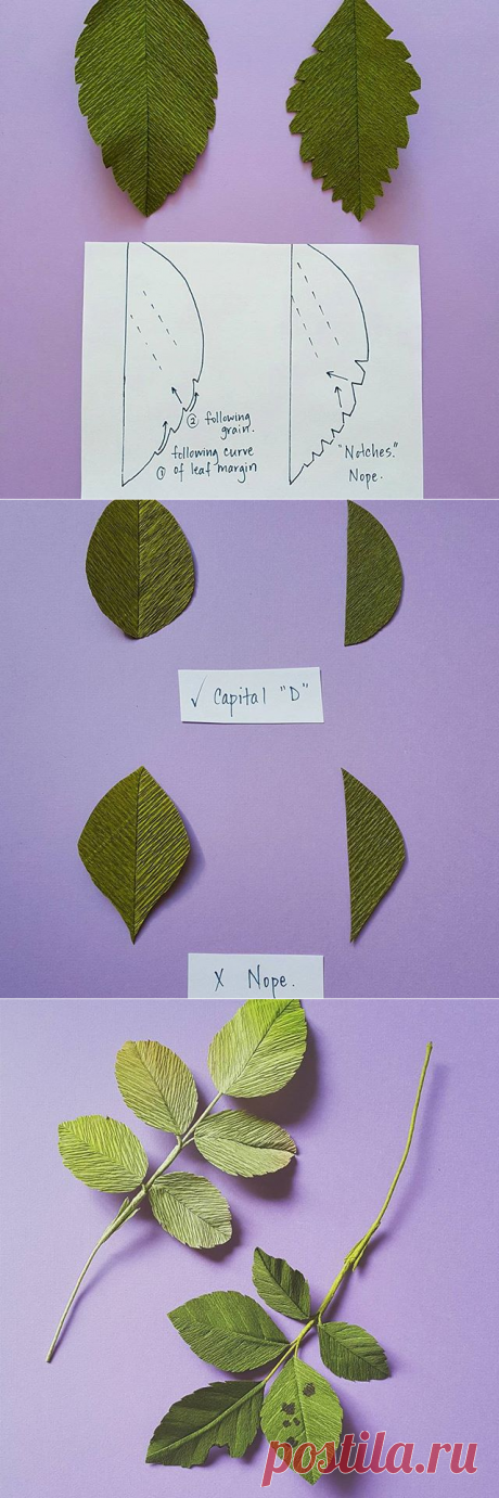 Lynn Dolan (@a.casual.florilegium) • Фото и видео в Instagram