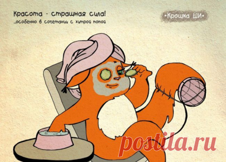 Вся правда о девчонках от белки Ши