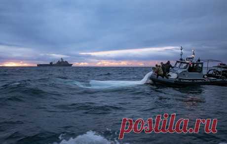 Американские военные подняли со дна Атлантического океана части китайского аэростата. Координатор по стратегическим коммуникациям в Совете нацбезопасности Белого дома Джон Кирби отметил, что в Вашингтоне "прямо сейчас изучают обломки"