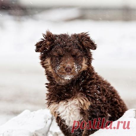35PHOTO - Denis Gruba -ХОЛОДНО И ГОЛОДНО ЗИМОЙ.