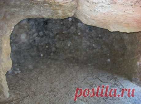 Формы жизни из "тонкого мира". Мнение советского физика, изучавшего орбы | BIOсфератум | Дзен