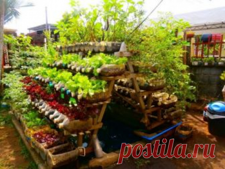 Красивые грядки своими руками: 50 идей, как украсить огород и вырастить хороший урожай | Идеи дизайна (Огород.ru)