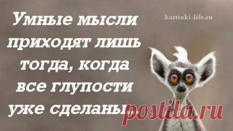 Мудрые высказывания о жизни - медиаплатформа МирТесен