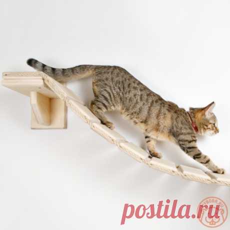 Мостик на стену для кошки