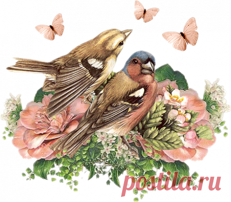 винтажные цветы в PNG для декупажа