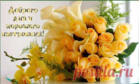 Валюша: Не предлагайте Дружбу --Мимоходом, -Порою даже не Сказав; "Привет" Не собиратель Я кол-ва Народа.. Друзей по Тысячи, поверьте Нет !!..