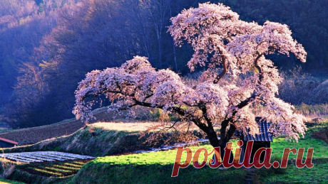 Смотреть красивые картинки (34 фото) ⭐ Забавник