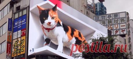 Вот такие билборды нам по нраву.