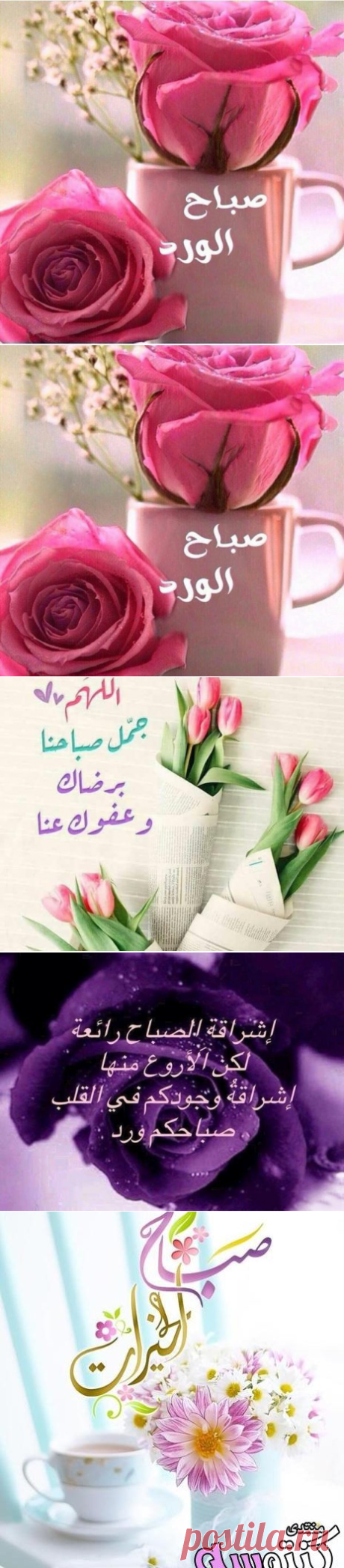 اجمل دعاء الصباح مع الصور - سيدات مصر