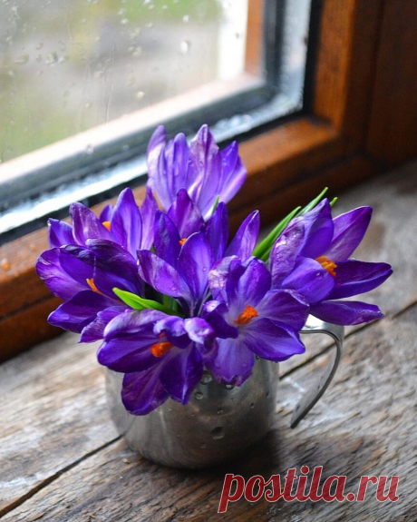 Пусть у каждого будет то...
что гораздо Дороже денег.....