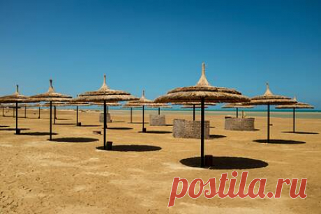 Отравившихся в Египте россиян пообещали поддержать. Роспотребнадзор пообещал поддержать россиян, отравившихся в египетском отеле, в случае подачи судебных исков. 30 октября стало известно о массовом отравлении российских туристов в отеле AMC Royal hotel на египетском курорте Хургада. В результате были госпитализированы 40 человек, а отель закрыт на неопределенный срок.